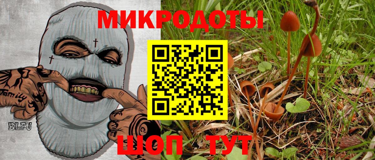 Галлюциногенные грибы MAGIC MUSHROOMS  Вход с VPN  Карталы 